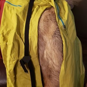 Patagonia ski bibs  vintage fleece pants